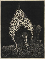 KG 09626
<br/>
Zilverwyandotte (kip)
<br/>
<em>Mankes, Jan (1889-1920)</em>